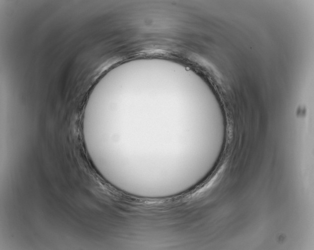 X0000102341353200808010903