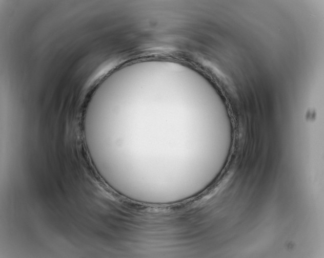X0000102341354200808010903