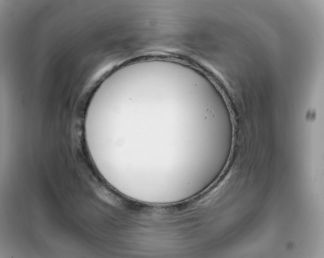 X0000102341355200808010903