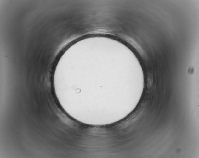 X0000102341356200808010903