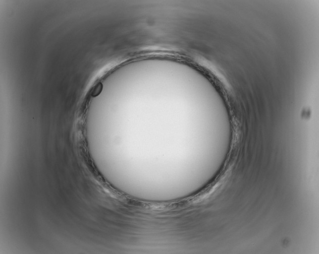 X0000102341357200808010903