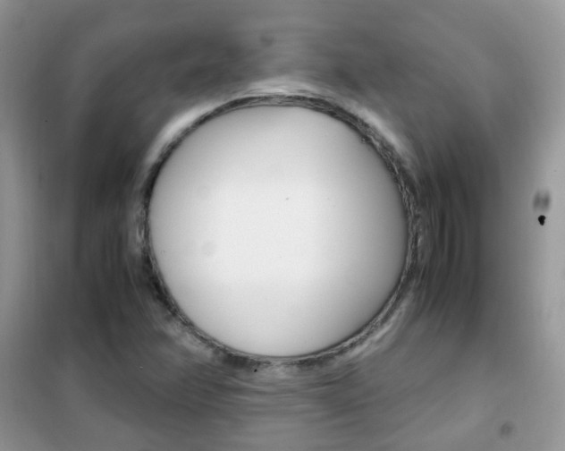 X0000102341358200808010903