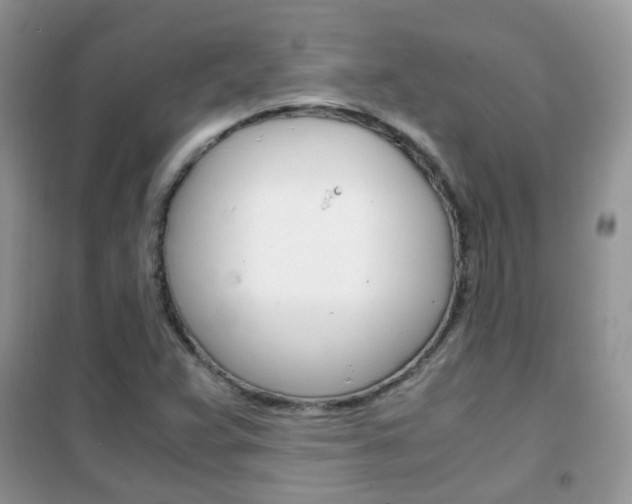 X0000102341359200808010903