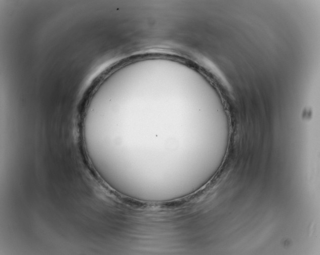 X0000102341360200808010903