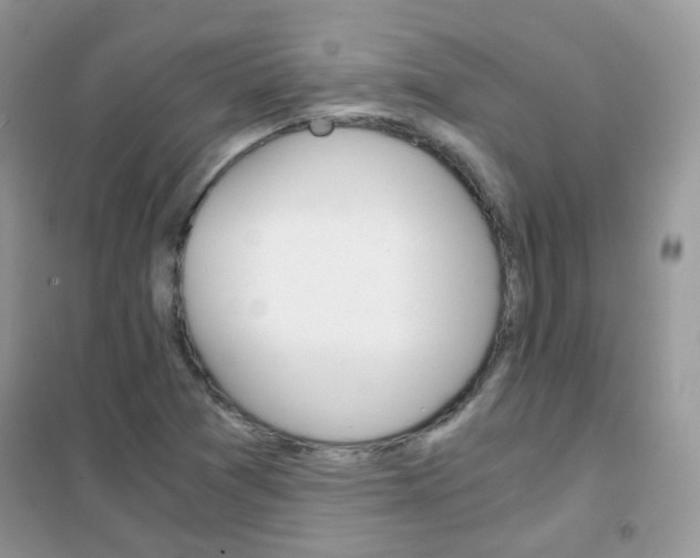 X0000102341361200808010903