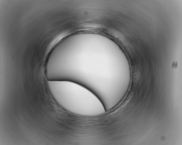 X0000102341362200808010903