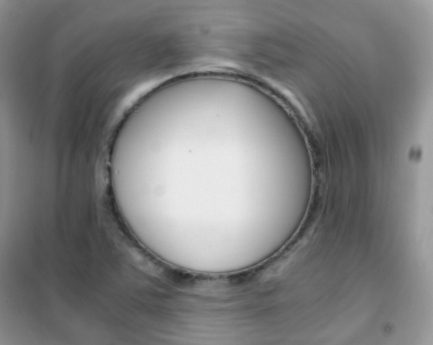 X0000102341363200808010903