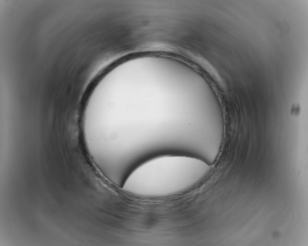 X0000102341364200808010903