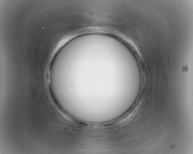 X0000102341365200808010903