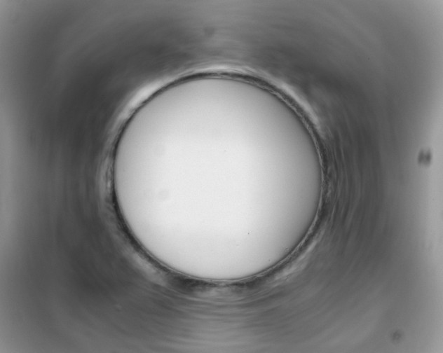 X0000102341367200808010903
