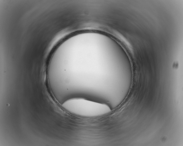 X0000102341368200808010902