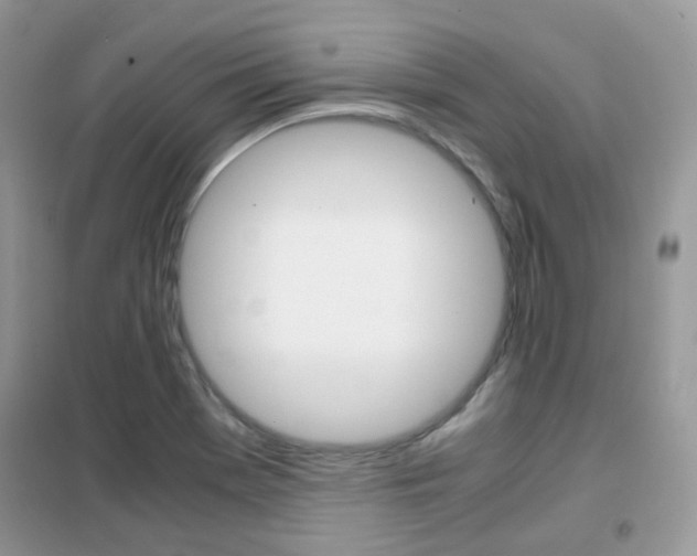X0000102341369200808010902