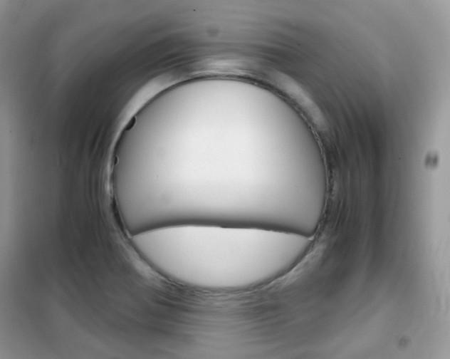 X0000102341370200808010902