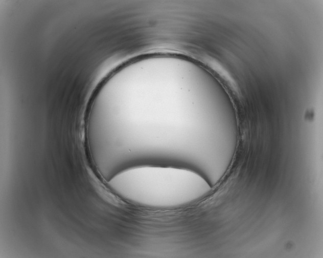 X0000102341372200808010902