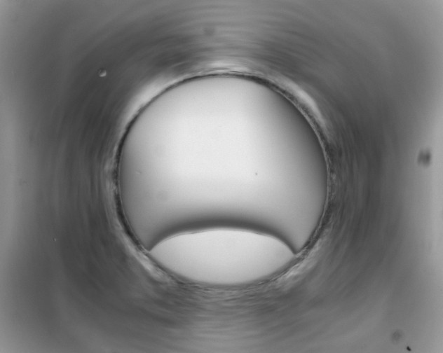 X0000102341373200808010902