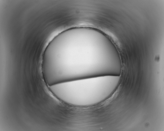 X0000102341374200808010902
