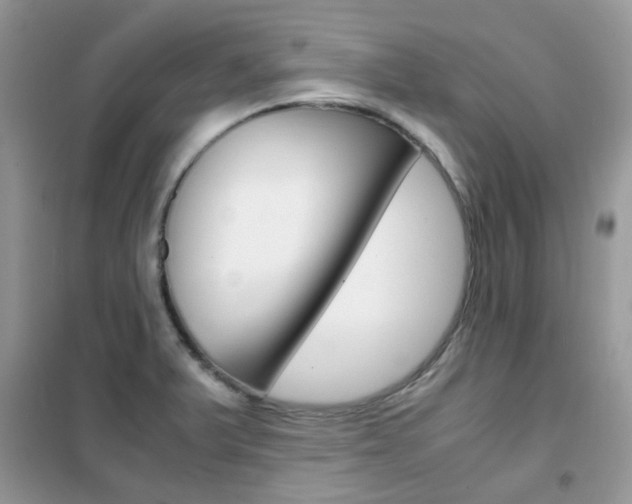 X0000102341375200808010902