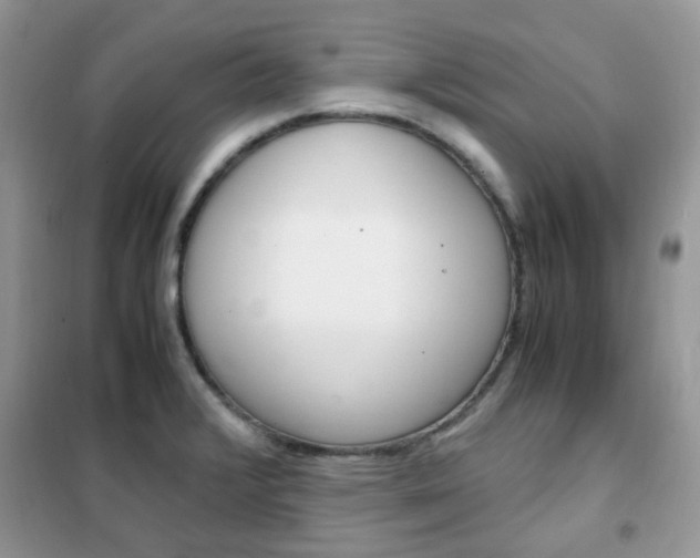X0000102341376200808010902