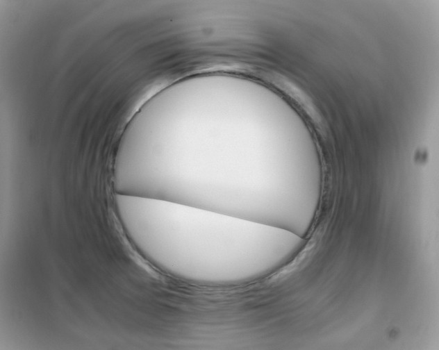X0000102341377200808010902