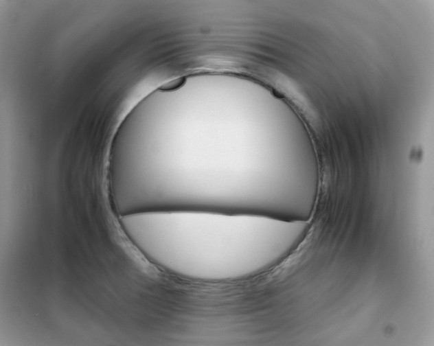 X0000102341378200808010902