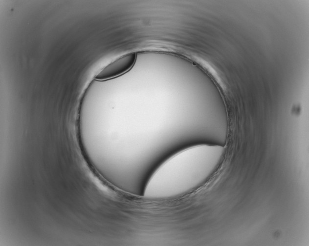 X0000102341379200808010902