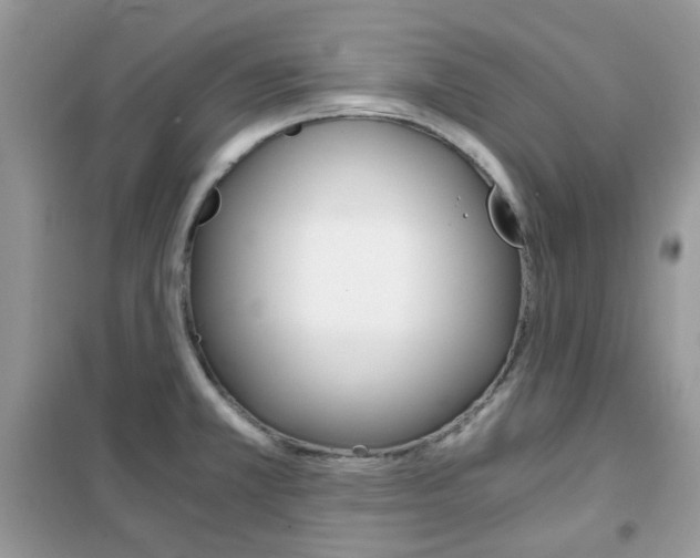 X0000102341381200808010902