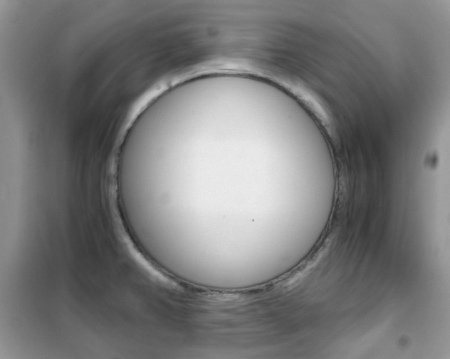 X0000102341382200808010902