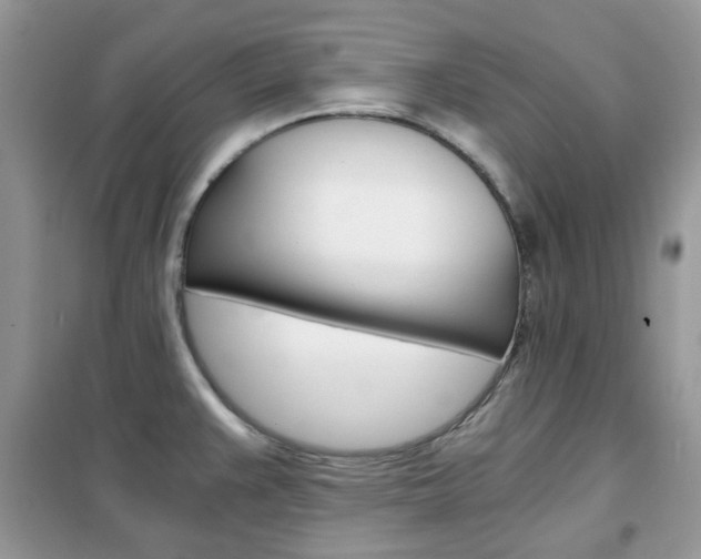 X0000102341383200808010902