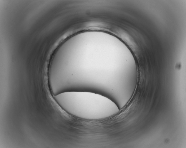 X0000102341384200808010902