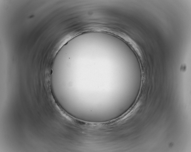 X0000102341385200808010902