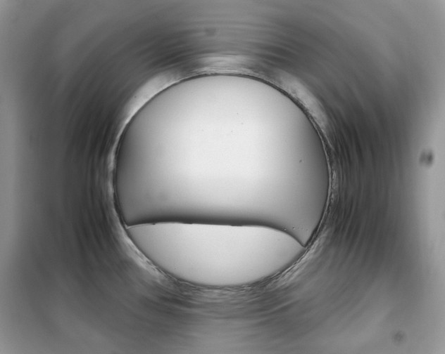 X0000102341386200808010902