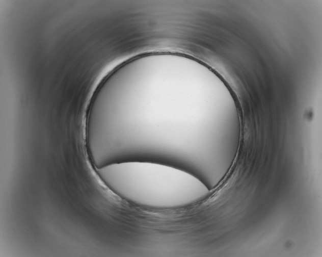 X0000102341388200808010902
