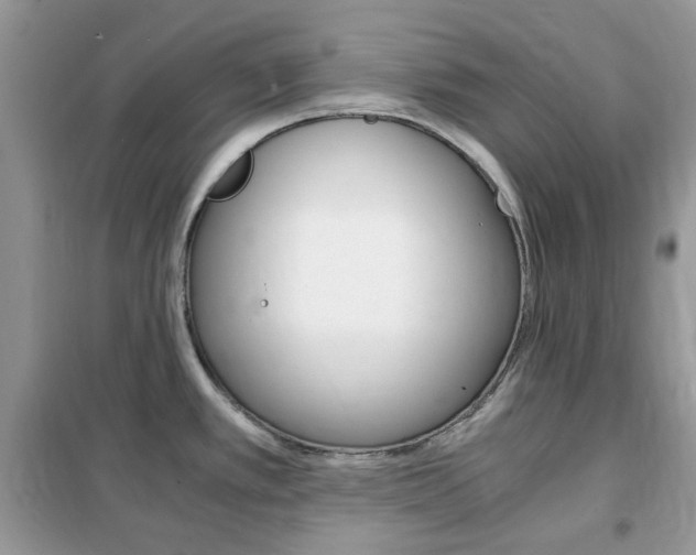 X0000102341389200808010902