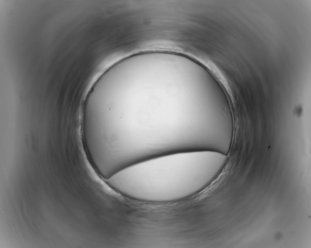 X0000102341390200808010902