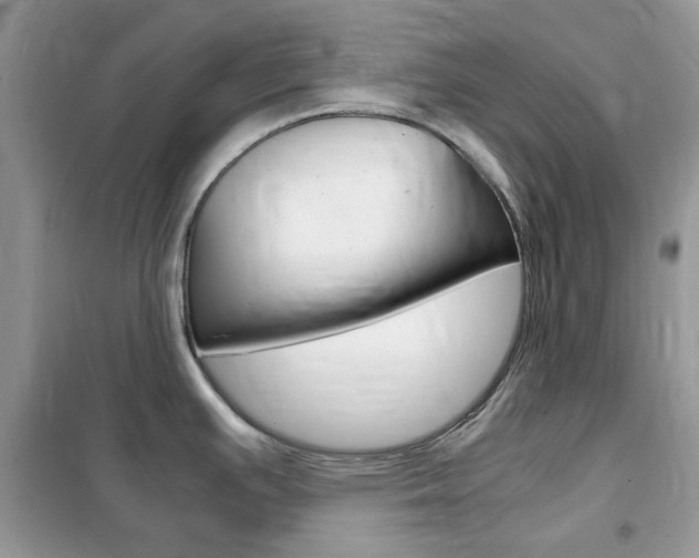 X0000102341391200808010902
