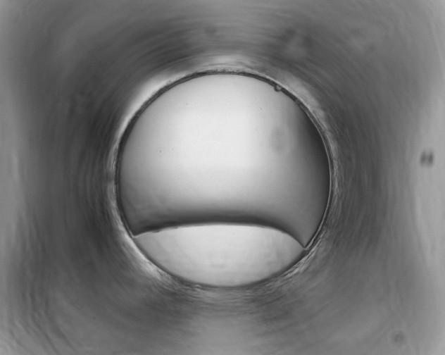 X0000102341392200808010902
