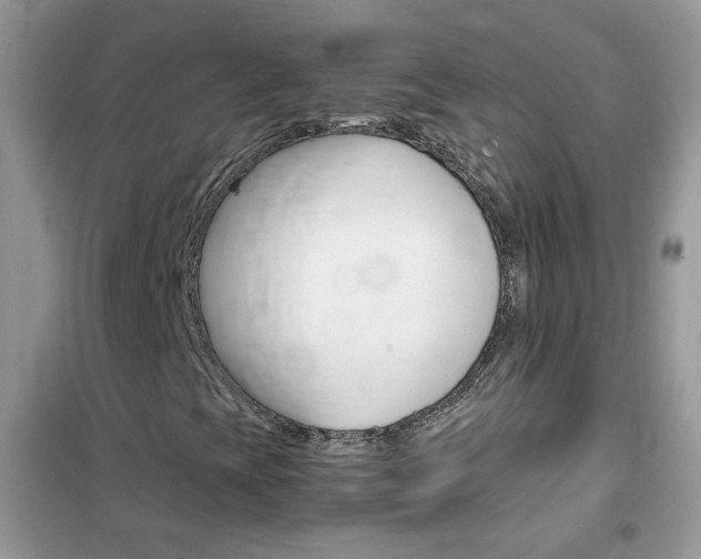 X0000102341393200808010901