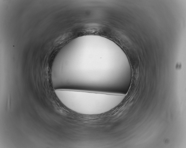 X0000102341394200808010901