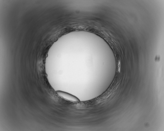 X0000102341395200808010901
