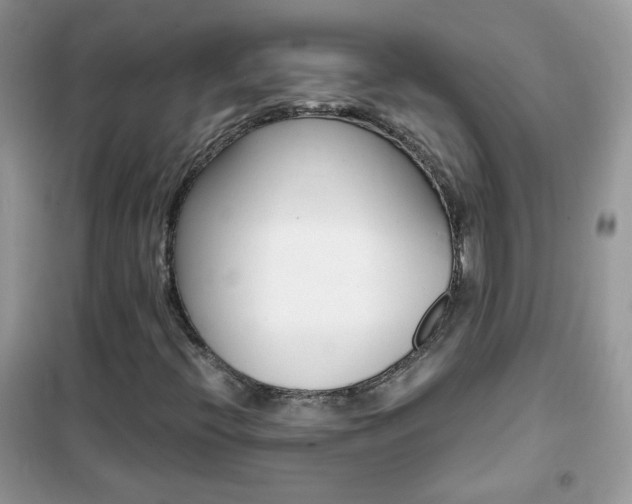 X0000102341396200808010901