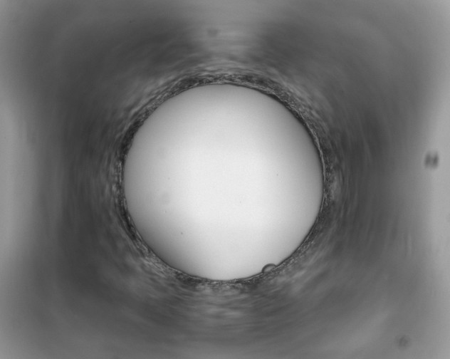 X0000102341397200808010901
