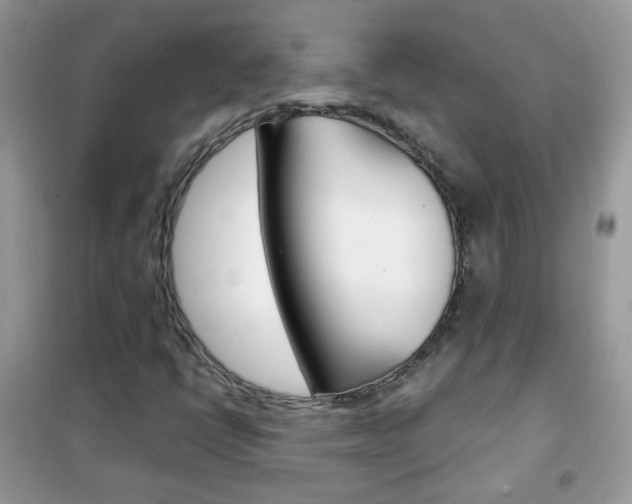 X0000102341398200808010901