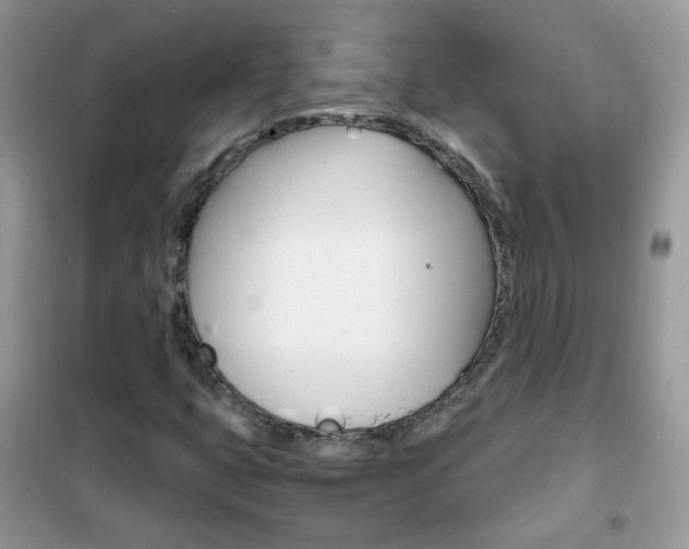 X0000102341399200808010901