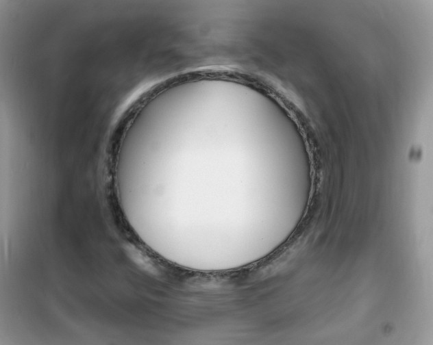 X0000102341400200808010901