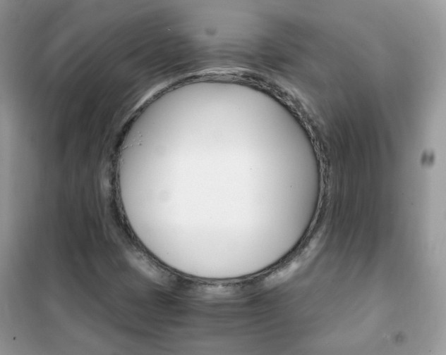 X0000102341401200808010901