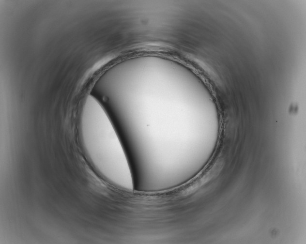 X0000102341402200808010901