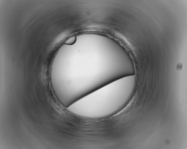 X0000102341403200808010901