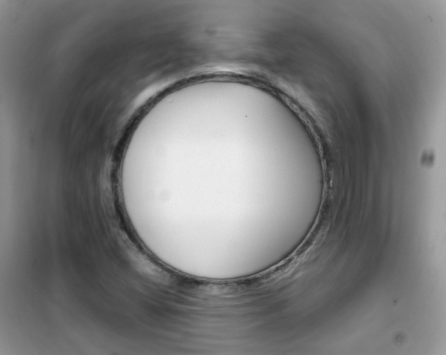 X0000102341404200808010901