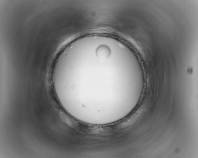 X0000102341405200808010901
