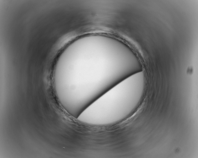 X0000102341407200808010902